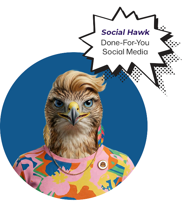 social-hawk-done-for-you